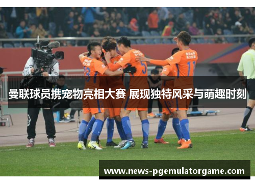 曼联球员携宠物亮相大赛 展现独特风采与萌趣时刻