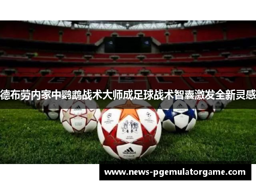 德布劳内家中鹦鹉战术大师成足球战术智囊激发全新灵感