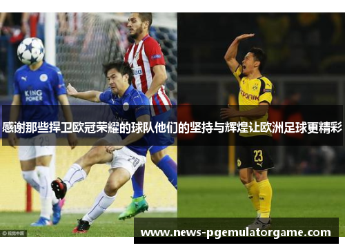 感谢那些捍卫欧冠荣耀的球队他们的坚持与辉煌让欧洲足球更精彩