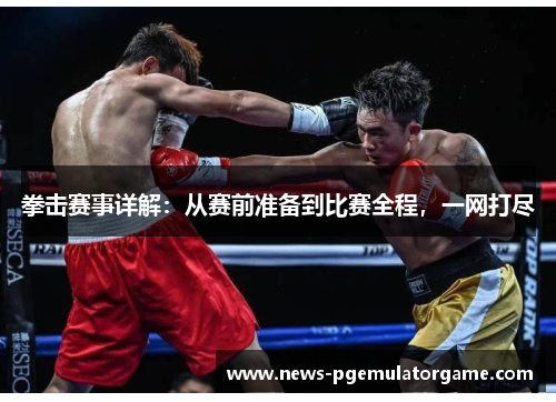 拳击赛事详解：从赛前准备到比赛全程，一网打尽