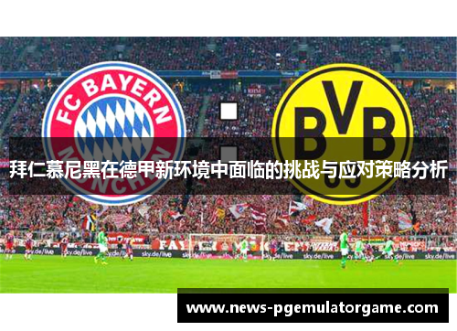 拜仁慕尼黑在德甲新环境中面临的挑战与应对策略分析