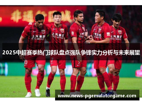 2025中超赛季热门球队盘点强队争锋实力分析与未来展望