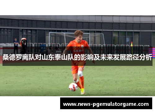 桑德罗离队对山东泰山队的影响及未来发展路径分析