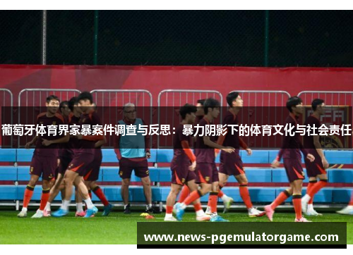 葡萄牙体育界家暴案件调查与反思：暴力阴影下的体育文化与社会责任