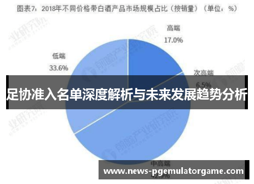 足协准入名单深度解析与未来发展趋势分析 足协准入名单深度解析与未来发展趋势分析