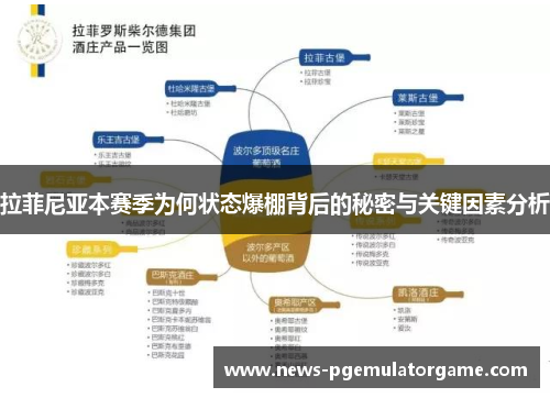 拉菲尼亚本赛季为何状态爆棚背后的秘密与关键因素分析