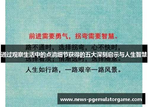 通过观察生活中的点滴细节获得的五大深刻启示与人生智慧
