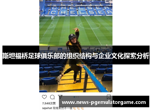 斯坦福桥足球俱乐部的组织结构与企业文化探索分析