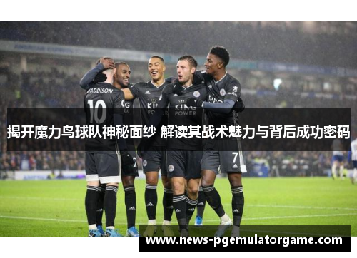 揭开魔力鸟球队神秘面纱 解读其战术魅力与背后成功密码