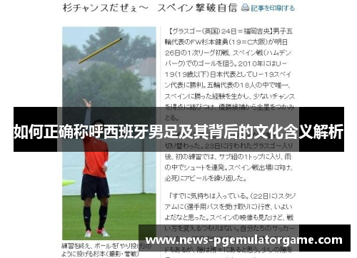 如何正确称呼西班牙男足及其背后的文化含义解析