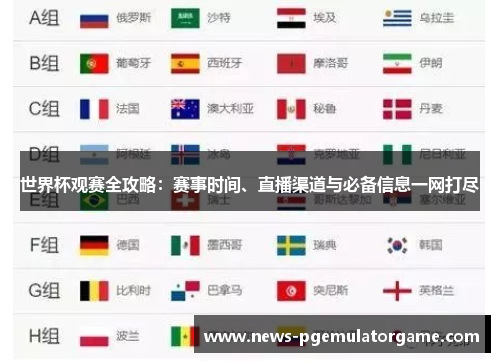 世界杯观赛全攻略：赛事时间、直播渠道与必备信息一网打尽