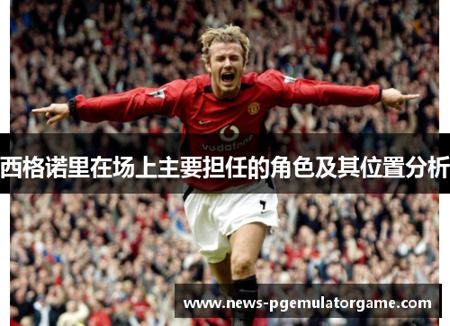 西格诺里在场上主要担任的角色及其位置分析