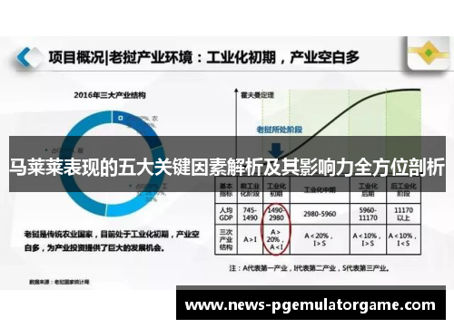 马莱莱表现的五大关键因素解析及其影响力全方位剖析