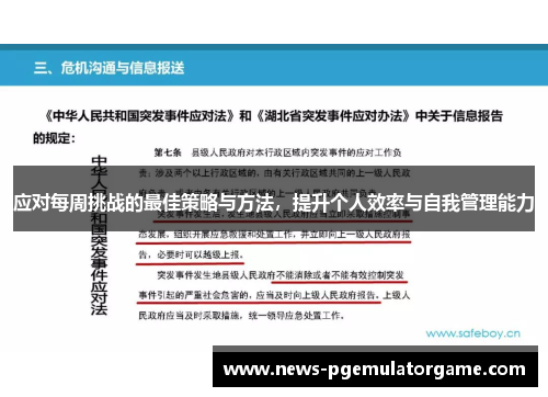 应对每周挑战的最佳策略与方法，提升个人效率与自我管理能力