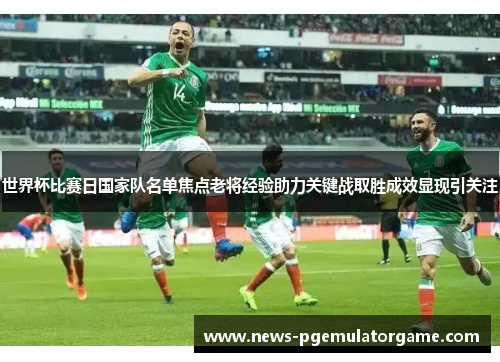 世界杯比赛日国家队名单焦点老将经验助力关键战取胜成效显现引关注